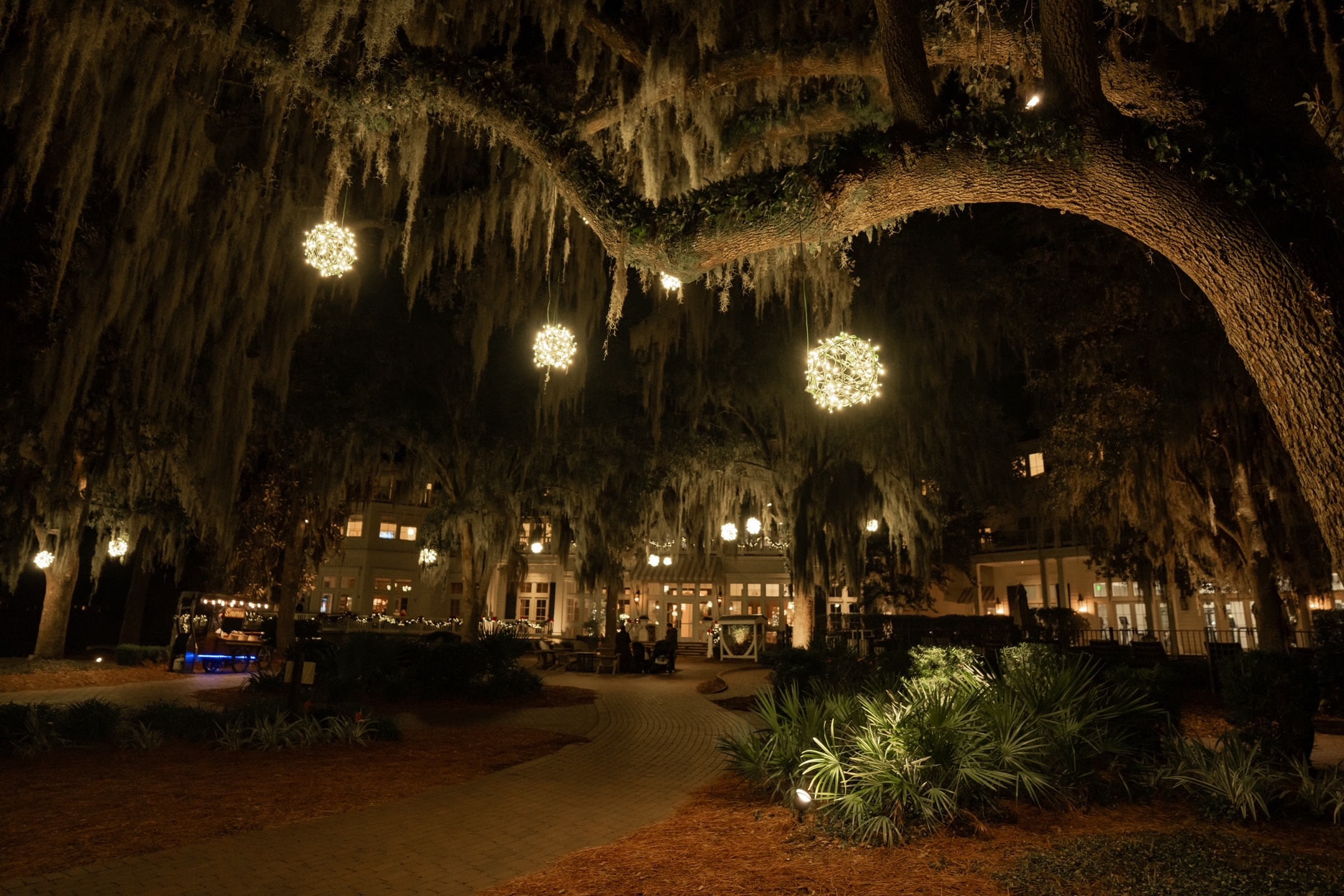 Glowing light ball ornaments hanging from a live oak tree draped in Spanish moss