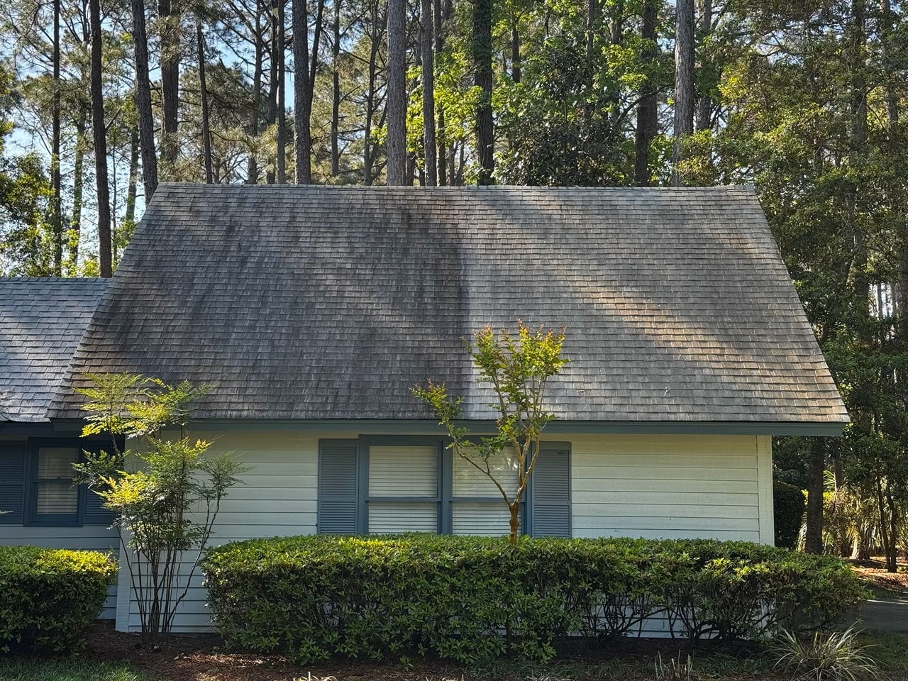 Roof Cleaning